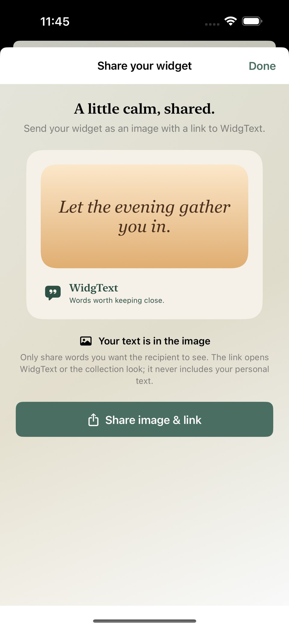 WidgText 2.5 sharing preview showing the image, privacy explanation and Share image and link button.